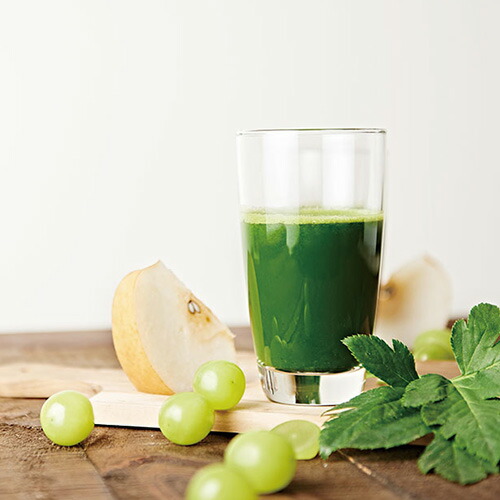 選べるおまけ 雑誌恵沢随身 評価10倍増し Hurom ヒューロム スロージューサー H 0 ジューサー つゆ 自動搾汁 まるごと投入 プレーン お手がるい ベジタブル 果物 フルーツ 作り方付き Cannes Encheres Com