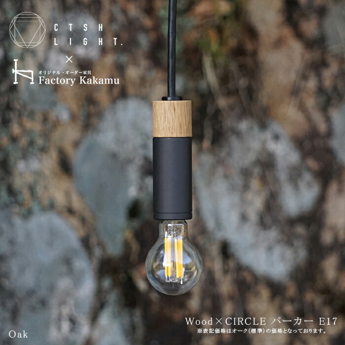シャンデリヤ点火装置【受注生み出すこと品】CTSH LIGHT Wood×CIRCLE アイアン パーカーライジング工業  E17 点火装置 今めかしい 点火装置 点火装置 金管楽器 金属元素 金属元素点火装置 勝手もと 夕ご飯 CTSHLIGHT CTSH