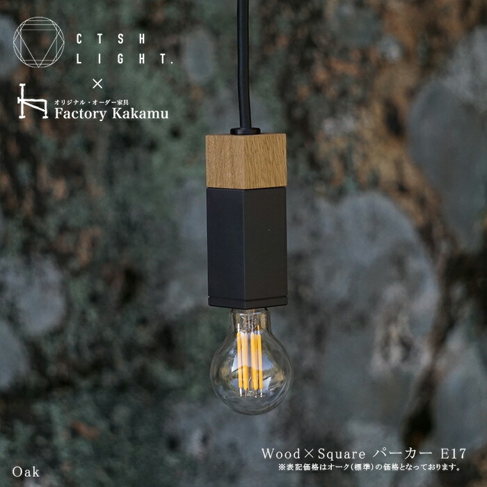 シャンデリヤ点火装置【受注生み出すこと品】CTSH LIGHT Wood×SQUARE アイアン パーカーライジング工業  E17 点火装置 今めかしい 点火装置 点火装置 金管楽器 金属元素 金属元素点火装置 勝手もと 夕ご飯 CTSHLIGHT CTSH