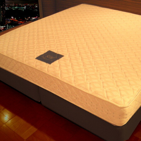 高級ホテルベット pocket-normal4.jpg