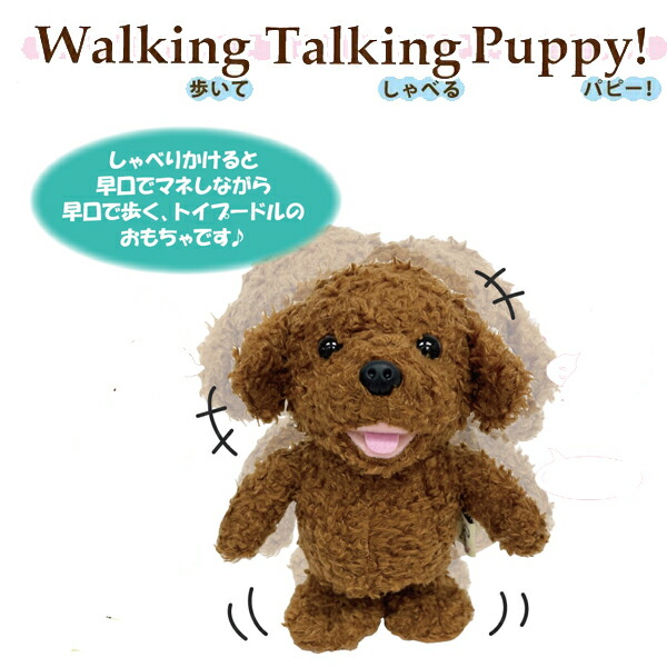 四季オリジナル ぬいぐるみ トイプードル 寝そべり 四季オリジナル ぬいぐるみ トイプードル 寝そべり - メルカリ