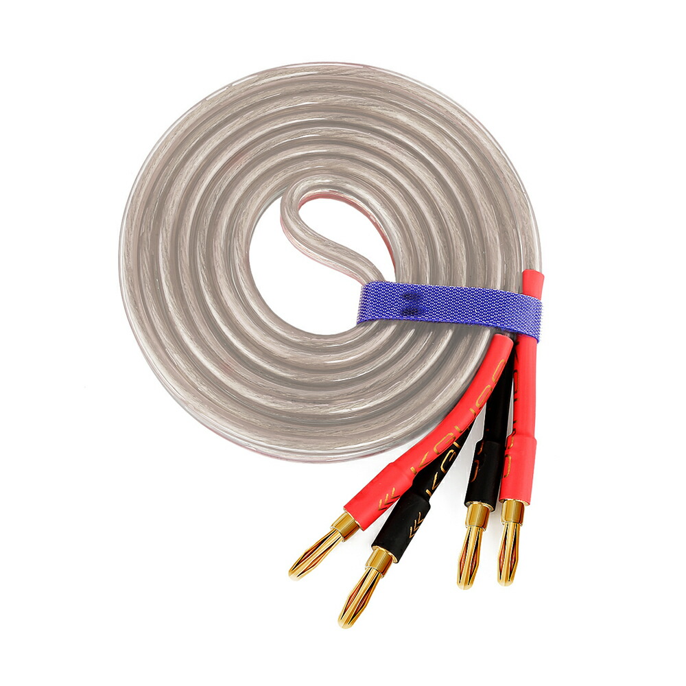 AudioQuest Q2 3m銀メッキバナナプラグ ペア スピーカーケーブル Amazon.com: AudioQuest 9.8' Q2 Full-Range 10' Speaker Cable