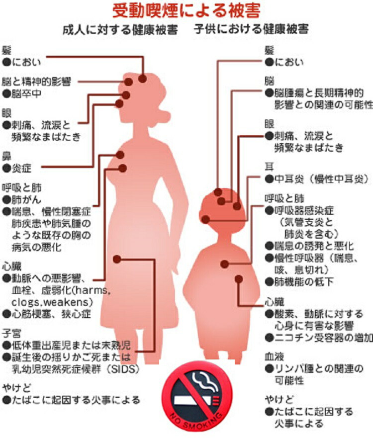 買うほどお得 禁煙ステッカー1枚250円〜100枚2,000円 送料無料 自動車禁煙シール 禁煙灰皿にNO SMOKINGステッカー レンタカー  禁煙車 タクシー 送迎車に 激安特価品