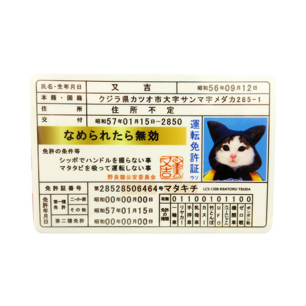 楽天市場 なめ猫 ステッカー 免許証 又吉 なめんなよ デカール シール ネコ 車 リアガラス バンパー ゼネラルステッカー Lcs 1308 カー用品通販のホットロードパーツ