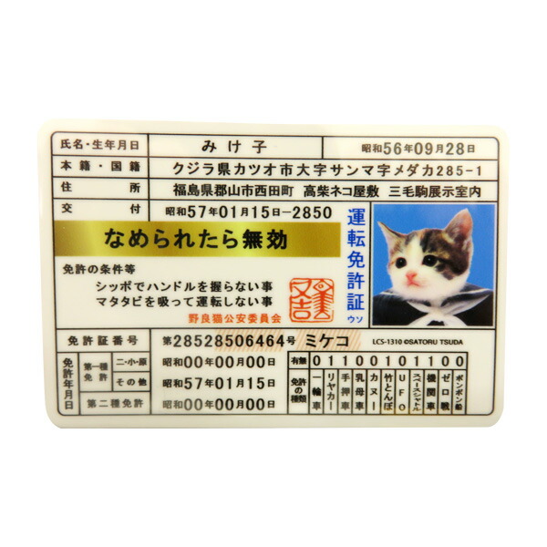 楽天市場 30 付 なめんなよ なめ猫 カードコレクション バージョン指定不可 キャラクター なめねこ なめ猫 免許証 15 1218 子供会 景品 お祭り くじ引き 縁日 フェスティバルプラザ