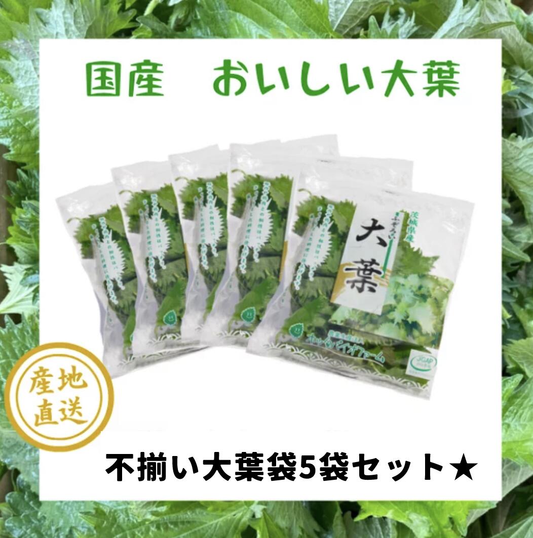 楽天市場 国産 おいしい 大葉 紫蘇 花粉症対策 お得 安い 安心安全 ｇ袋 5袋セット アレルギー 美肌 袋詰め 大容量 おおば 青じそ しそ ジェノベーゼ かつお つま 野菜 香味野菜 家庭用 店舗用 茨城県産 ５個セットはこちらから ホッタバイオファーム