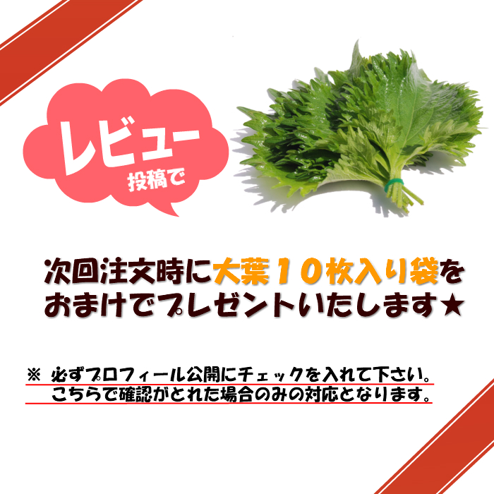 楽天市場 国産 おいしい 大葉 紫蘇 花粉症対策 お得 安い 安心安全 ｇ袋 5袋セット アレルギー 美肌 袋詰め 大容量 おおば 青じそ しそ ジェノベーゼ かつお つま 野菜 香味野菜 家庭用 店舗用 茨城県産 ５個セットはこちらから ホッタバイオファーム