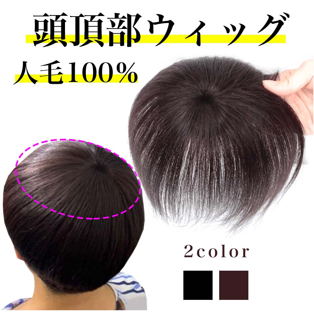 ヘアピース 頭頂部 ウィッグ 人毛100％ 自然 つむじ ショート ストレート 通気性 前髪あり 薄毛 脱毛 白髪 部分ウィッグ トップウィッグ  かつら つけ毛 | ホウエイ　ショップ