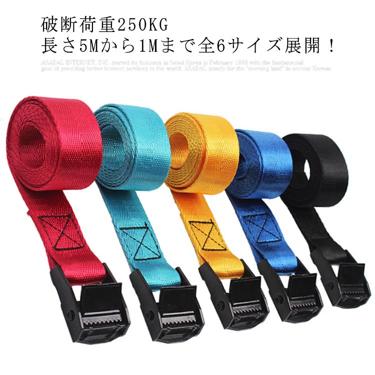 新しく着き 2.5cm×3m タイダウンベルト 荷締め ルーフベルト 簡単ロック Gany ラチェット式 (2.5cm×3m) 通販 