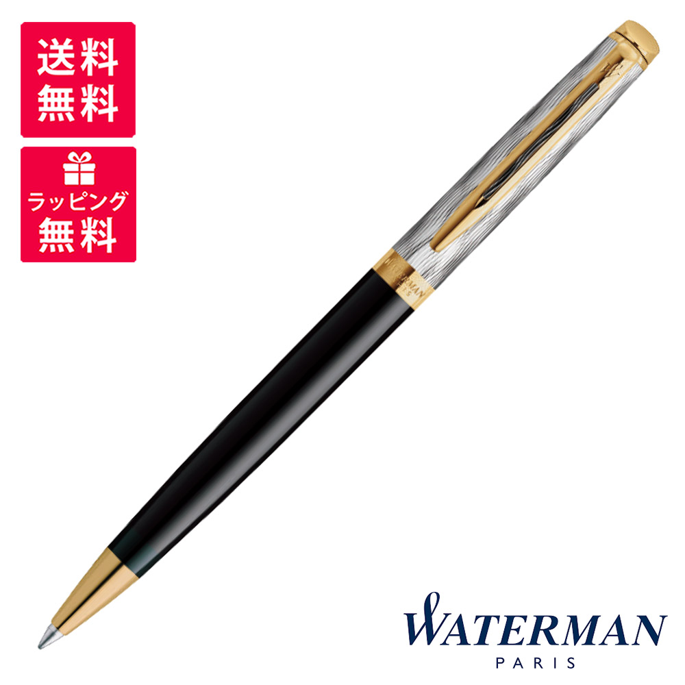 万年筆　パースペクティブ　waterman WATERMAN ウォーターマン 万年筆 エキスパート デラックス