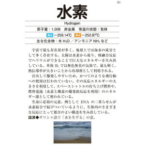 在庫あり 即納 元素記号学習カード 1セット 60枚 高い品質 Aerodynamicinc Com