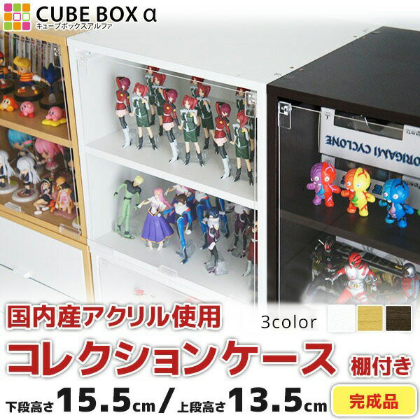 楽天市場】【25日☆40名限定☆全品5%OFFクーポン発行】 Lサイズ
