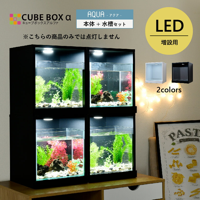 楽天市場】LED付き 水槽セット キューブボックスα アクア 【送料無料