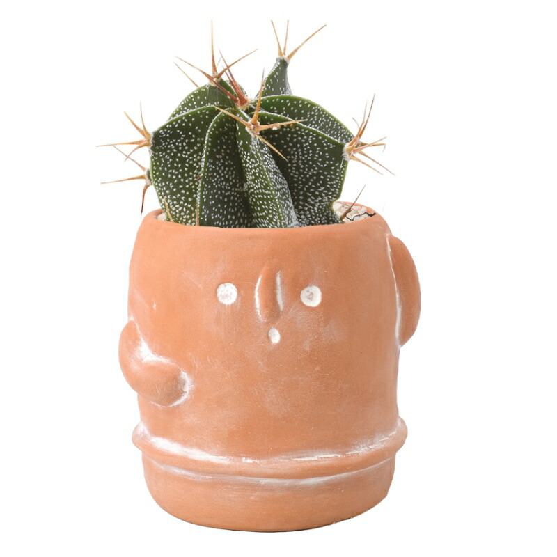 楽天市場】植木鉢 プランター 素焼き かわいい 古代シリーズ