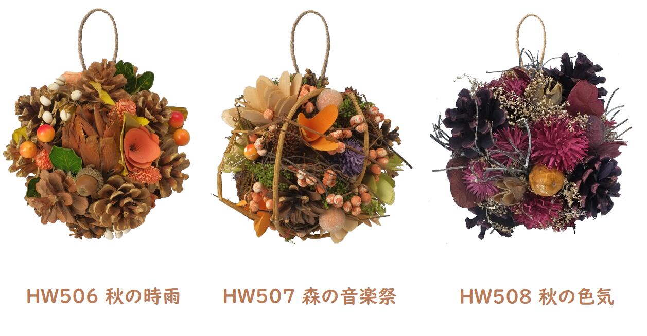 Hwナチュラルボール租借 1材2個セット取り引き オータムリース ハロウィン 乾いた御花 プリザーブドフラワー フラワー申合せ 芸術フラワー 造佳境 フラワー 花 ナッツ インテリア装飾 乗り込み口 居物 パタン 祭り 開店寿 工作祝 祝儀 差し上物 戴物 Hotjobsafrica Org