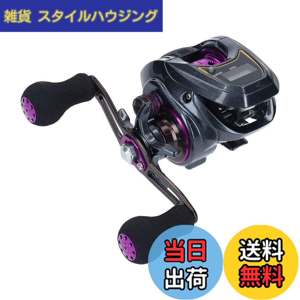 【送料無料】ダイワ(DAIWA) LIGHT SW X IC R カウンター付ベイトリール