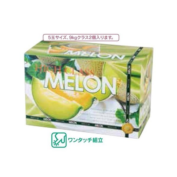 【屋号必須】メロン箱 L-2201 ハイクラスメロンL 2ケ入 310×160×200mm 1ケース100枚 ヤマニパッケージ メロン用/ダンボール