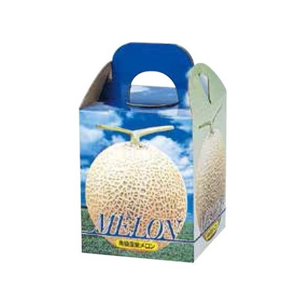 メロンの箱）パラディスメロン1ヶ入手提/100枚入（L-2169）