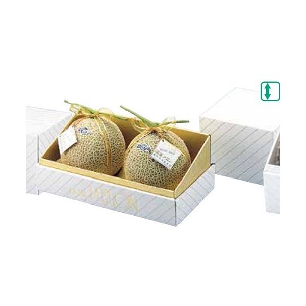ヤマニパッケージ メロン箱 L-74 金台紙メロン 2ヶ入 305×150×175mm 1ケース30枚入り メロン用 ダンボール