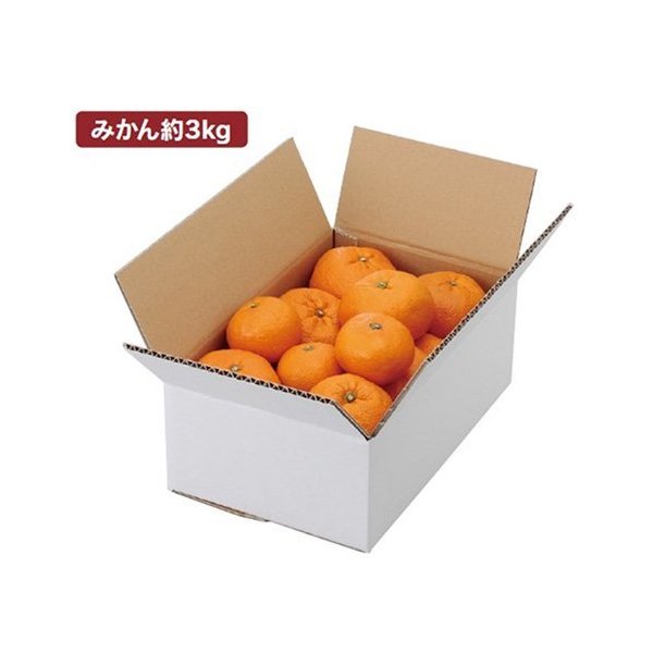 【屋号必須】みかん箱 L-2231 A式みかん白無地 3kg 315×202×120mm 1ケース80枚 ヤマニパッケージ