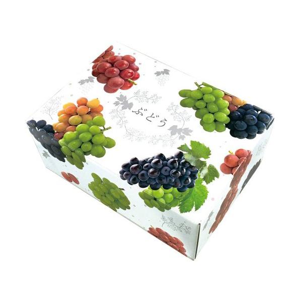 【屋号必須】オリカ ぶどう箱 3色ブドウC式 2kg 325×225×135mm 1ケース40セット入り