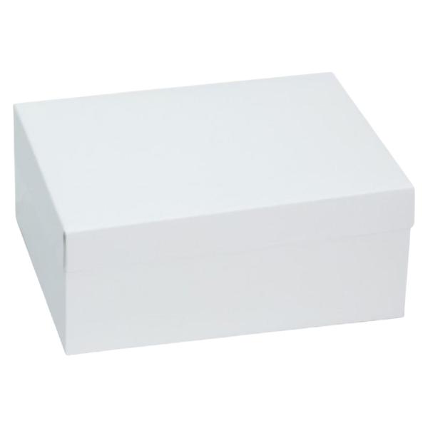 【屋号必須】ケーキ箱 20-2339 フードサービス110 HS #9 270×210×110mm 1ケース100枚入 ヤマニパッケージ