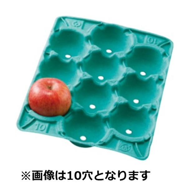 【屋号必須】モウルドトレイ 031411 りんご3K用 11H 357×262mm 1ケース100枚入 日本モウルド工業 フルーツ用トレー りんごトレー