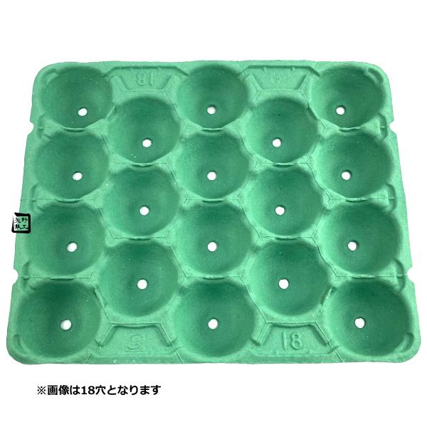 【屋号必須】モウルドトレイ 031066 りんご5K用 16H 緑 430×360mm 1ケース80枚入 日本モウルド工業 フルーツ用トレー りんごトレー