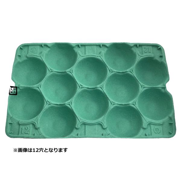 【屋号必須】モウルドトレイ 033061 梨 5K用 11H 緑 460×305mm 1ケース50枚入 日本モウルド工業 フルーツ用トレー なしトレー