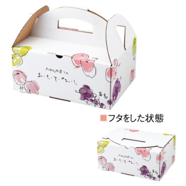 【屋号必須】ぶどう箱 おもてなし手提 中 280×200×210mm 1ケース50セット入り AA1332 オリカ ハンディタイプ 桃箱