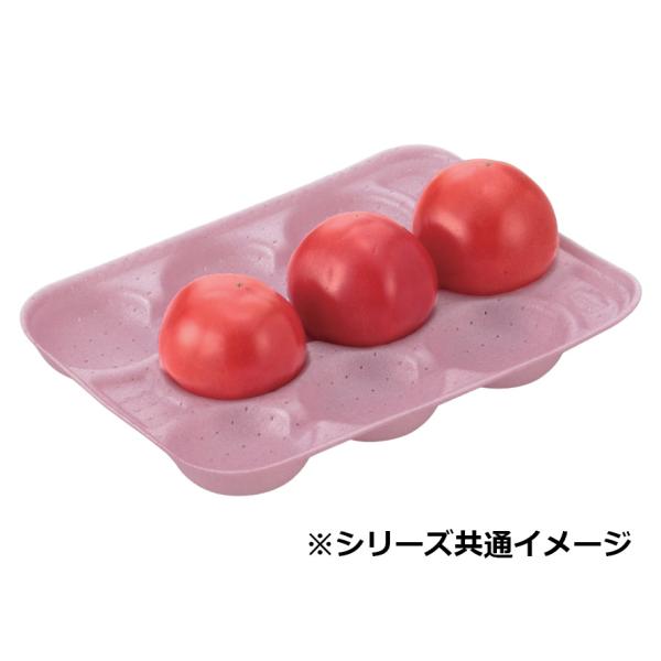 【屋号必須】トマトパック 1.3kg用 20穴 245×190mm 1ケース600枚入 トマト用ホールトレー
