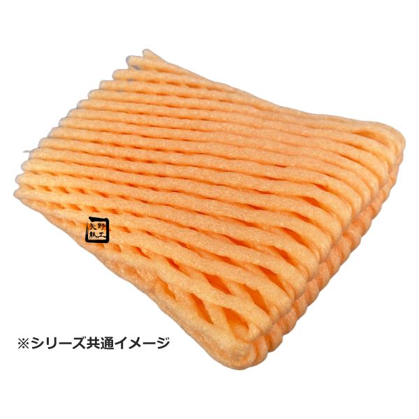 フルーツキャップ HYBRIDW-15 アプリコットオレンジ 15cm ダブル 1ケース1200枚入 DMノバフォーム フルーツ キャップ 果物 クッション 緩衝材 くだもの ネット ネットキャップ 果物ネット まとめ買い 保護 衝撃 守る 防ぐ クッション 保護材 業務用