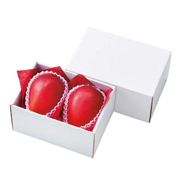 【屋号必須】フルーツ用ギフト箱 ホワイトBOX こづちNo.2 225×170×125mm 1ケース60枚入 AA5216 オリカ