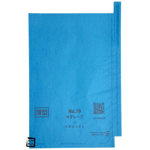 【屋号必須】ぶどう用 果実袋 シャインマスカット(ターコイズ) 19号 薄型 段有 200×295mm 1ケース3000枚入 553671 星野