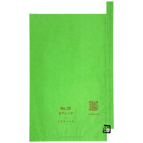 【屋号必須】ぶどう用 果実袋 シャインマスカット(グリーン) 20号 段有 有孔 217×315mm 1ケース3000枚入 553689 星野