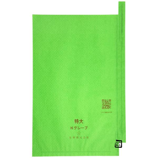 【屋号必須】ぶどう用 果実袋 シャインマスカット(グリーン) 特大 段有 有孔 240&times;360mm 1ケース2000枚入 553690 星野｜包材の蔵　店