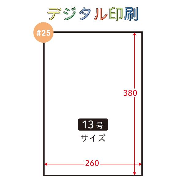 【別注デジタル印刷】ハイパーボードン #25 No.13 13号 4穴/穴無 プラマーク入 片面印刷 1ロット約16000枚入 OPPボードン袋 407605 信和