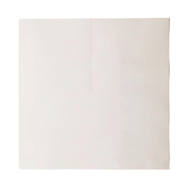 【屋号必須】ぶどう用 葡萄傘 白撥水傘 80g 厚手 270角 270×270mm 1ケース2500枚入 553281 星野