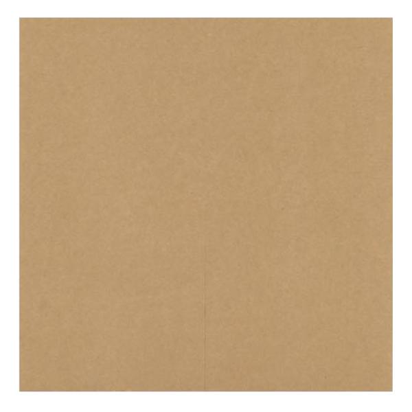 【屋号至要たる】ぶどう用 グレープ傘 手工芸品傘 220角 220×220粍 1容れもの2500枚入 553305 星野