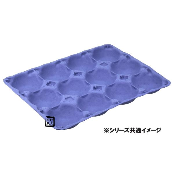 モウルドトレイ トマト2K用 紫 12H 310×230mm 1ケース200枚入 037562 日本モウルド工業 フルーツ用トレー
