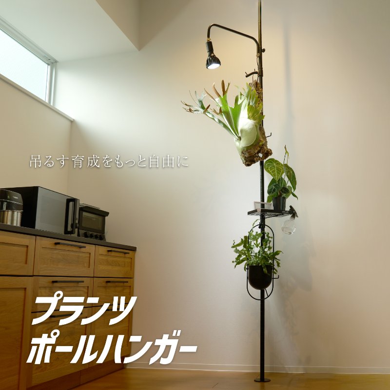 【安心の上場企業】 BIBILAB(ビビラボ) ビビプランツ ビザールプランツ ポールハンガー LPA-P2200-BK ブラック 突っ張り植物棚 【代引・日時指定・キャンセル不可・北海道沖縄離島配送不可】-メーカー直送-|hows 店