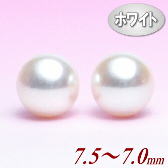 アコヤ真珠ありの実ルース（7.5～7.0粍）
