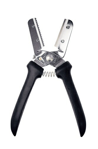 楽天市場】新型栗くり坊主 : メニューブックの達人楽天市場店