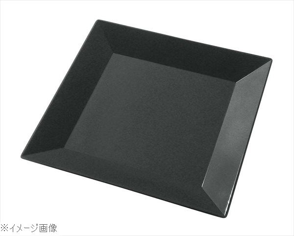 楽天市場】プラ容器 角皿 25 (10枚入) 黒 8386310 : Pro Lab