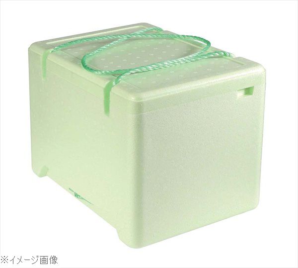 セキスイ フレッシュキーパー ＦＢ－１８（１２個入）グリーン
