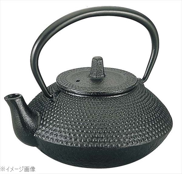 ＩＫ 急須 宝山 ０．５４Ｌ