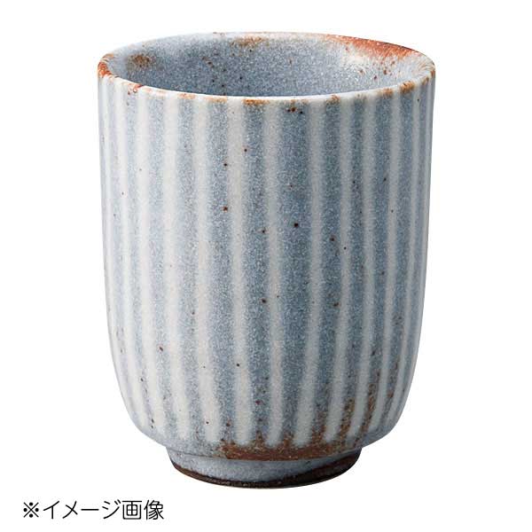 大特価!! 桐井陶器 モデルノ MODERNO 鼡志野十草 腰丸湯呑 290-5205 www
