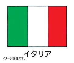 上西産業 エクスラン万国旗 70×105cm イタリア