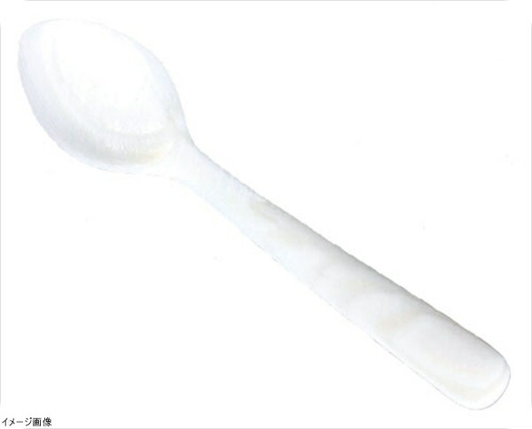 楽天市場】夜光貝 スプーン : Saks WebShop