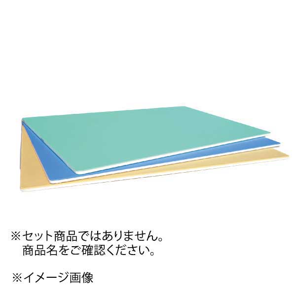 カラー取り板 TCSK8-6040 V（ベージュ）